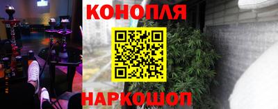 сатива Беслан