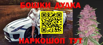 гашик Берёзовский
