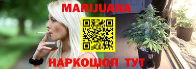 сатива Беслан